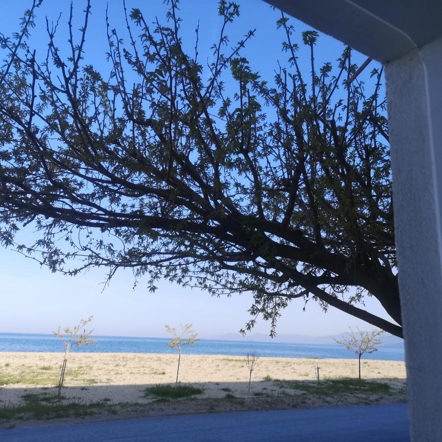 Greece Asprovalta Rooms Accomodation Apartment Hotel Petalo Εξωτερικό φωτογραφία