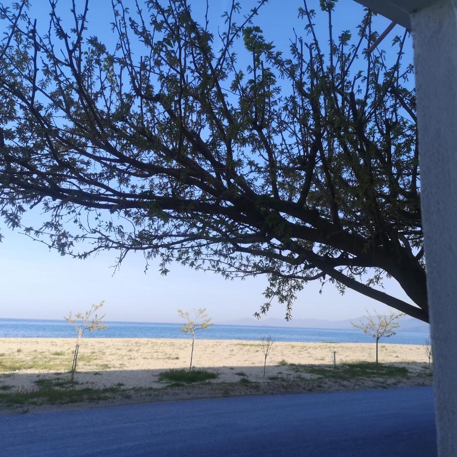 Greece Asprovalta Rooms Accomodation Apartment Hotel Petalo Εξωτερικό φωτογραφία