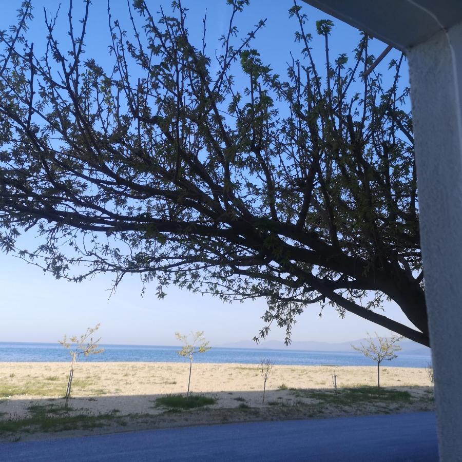 Greece Asprovalta Rooms Accomodation Apartment Hotel Petalo Εξωτερικό φωτογραφία